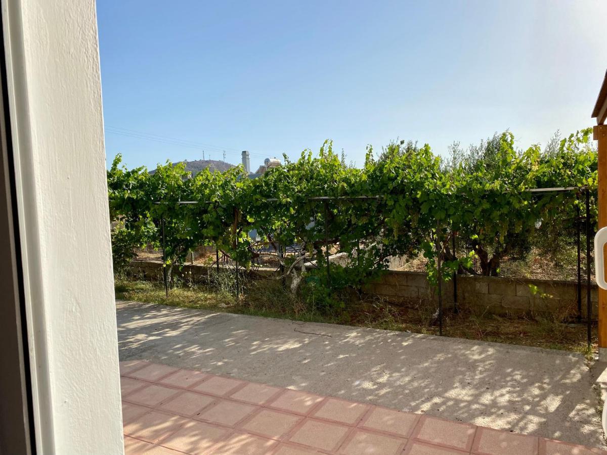 Family Friendly Apartment, In Nature, With Yard "5" Zipárion Εξωτερικό φωτογραφία